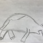 Draft 1 1st GR drawing of turtle