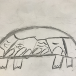 Final Draft 1st GR drawing of turtle