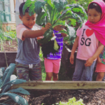 PreK students planting in school garden