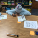 Les étudiants font des recherches sur le lézard.