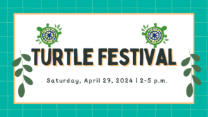 Turtle Festival Saturday, April 27, 2024 | 2-5 p.m.